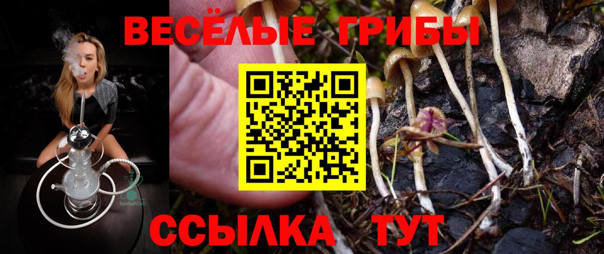 Галлюциногенные грибы прущие грибы Унеча